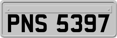 PNS5397