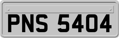 PNS5404