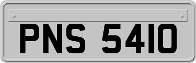 PNS5410