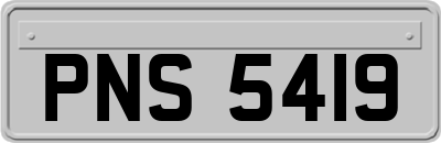 PNS5419