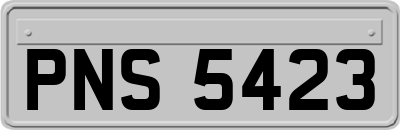 PNS5423