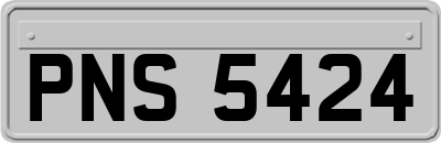 PNS5424