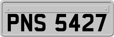 PNS5427