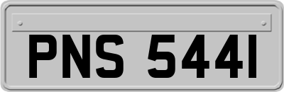 PNS5441