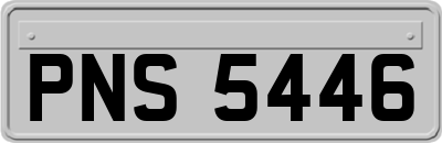 PNS5446
