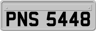 PNS5448