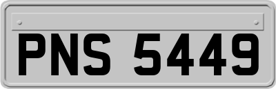 PNS5449