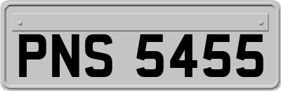 PNS5455