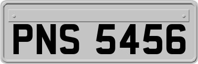 PNS5456