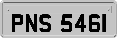 PNS5461