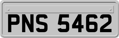 PNS5462