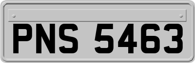 PNS5463