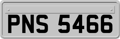 PNS5466