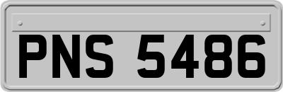 PNS5486