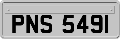 PNS5491