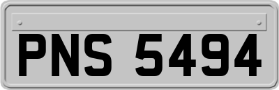 PNS5494