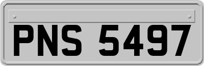 PNS5497