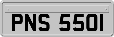 PNS5501