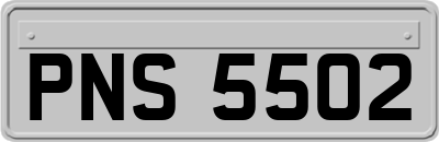PNS5502