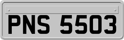 PNS5503