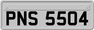 PNS5504
