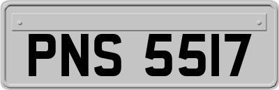 PNS5517
