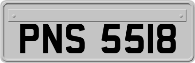 PNS5518
