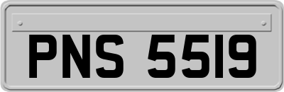 PNS5519