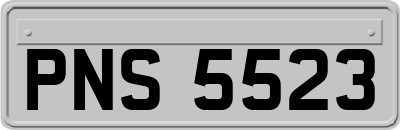 PNS5523