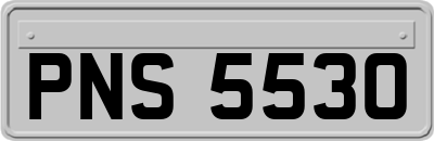 PNS5530
