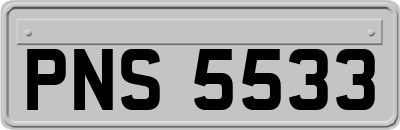 PNS5533