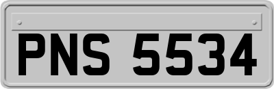 PNS5534