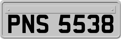 PNS5538