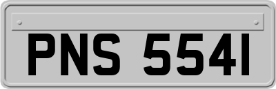 PNS5541