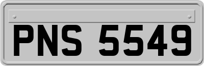 PNS5549