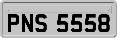 PNS5558