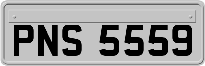 PNS5559