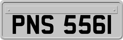 PNS5561
