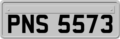 PNS5573
