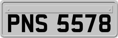 PNS5578