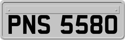 PNS5580