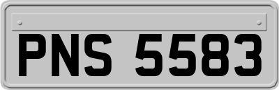 PNS5583