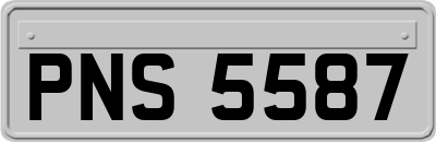 PNS5587