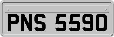 PNS5590