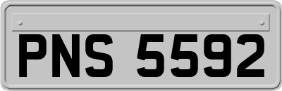 PNS5592
