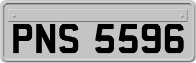 PNS5596