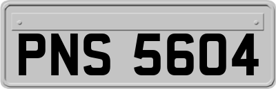 PNS5604