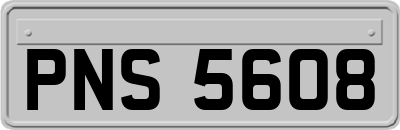 PNS5608
