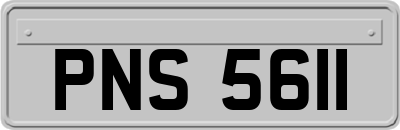 PNS5611