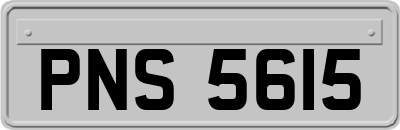 PNS5615